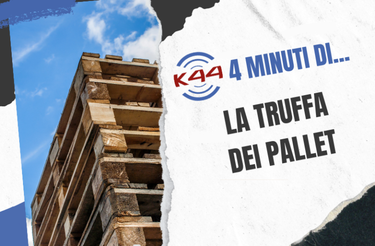 Le evasioni barbariche del commercio di pallet | K44 Video